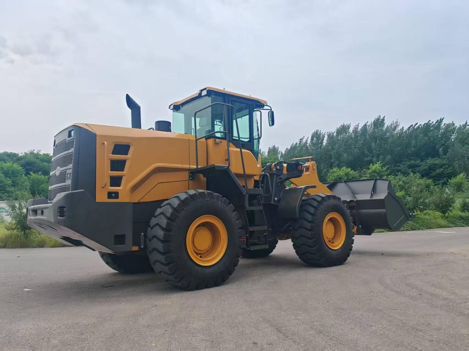 ZL956F